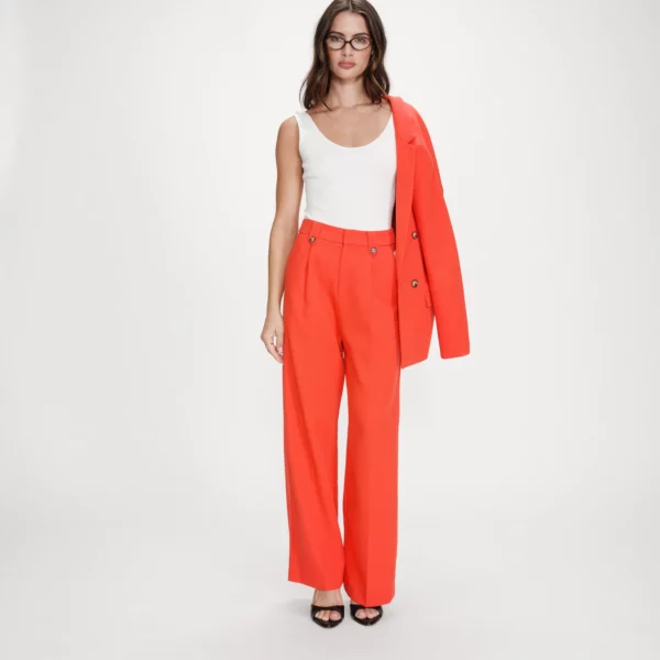 Pantalon tailleur Sanguine Pierre - Grace & Mila